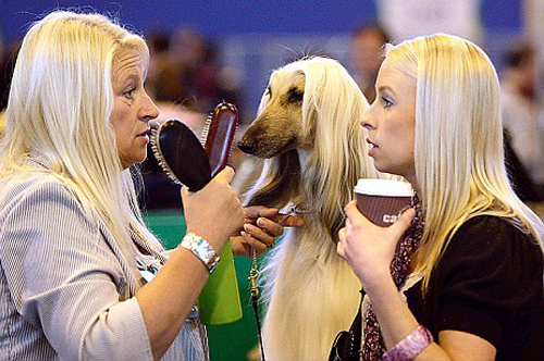 http://img0.liveinternet.ru/images/attach/b/3//42/34/42034816_1238839611_2.jpg