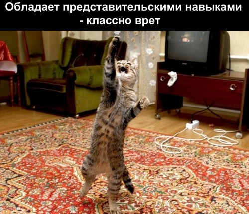 http://img0.liveinternet.ru/images/attach/b/3//42/75/42075713_1238915979_2.jpg