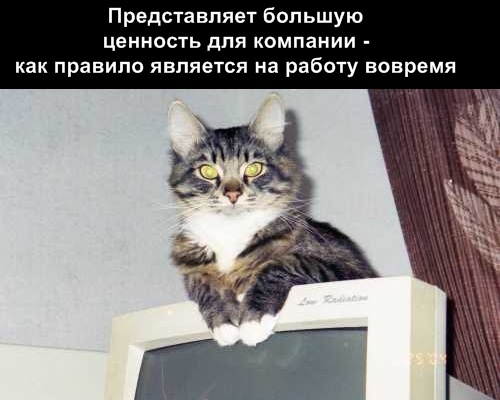 http://img0.liveinternet.ru/images/attach/b/3//42/75/42075733_1238916339_12.jpg