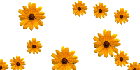 f918d9346babfcb5b92bdd655f15515c-web (200x100, 79Kb)