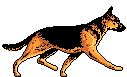 1196501063_dog45 (127x77, 4Kb)