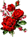    (117x160, 24Kb)