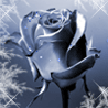 34515_prev_98 (98x98, 15Kb)