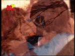 6581959_4606656_animachia18yq6oa5rhdff01[1] (150x113, 771Kb)