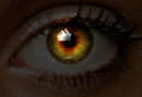  (130x89, 88Kb)