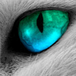  (150x150, 18Kb)
