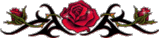0b8c7e16fee3fe608d8db7ad4e551b41 (159x38, 14Kb)