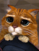 9253452_cat_169 (132x175, 139Kb)