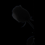  (150x150, 14Kb)