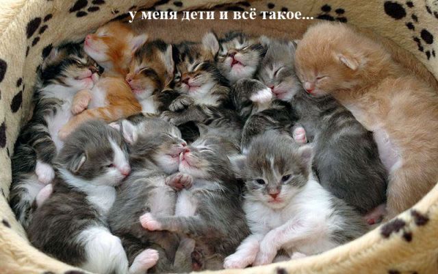  (640x400, 57Kb)