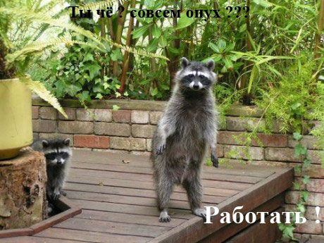 (460x345, 51Kb)