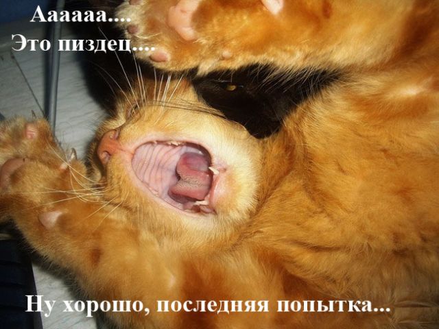  (640x480, 56Kb)