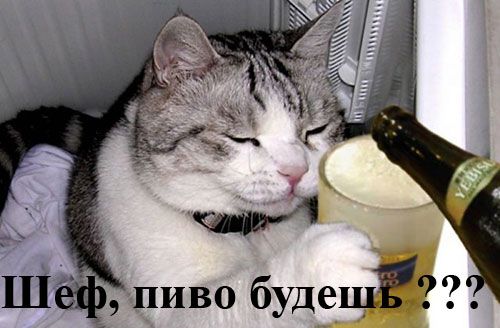  (500x328, 35Kb)