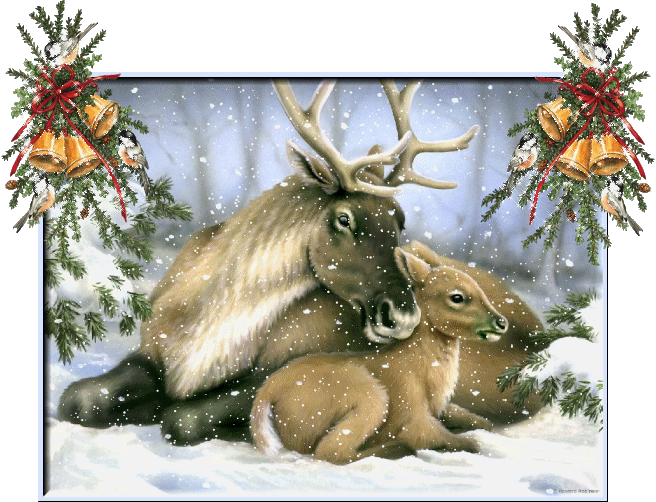 http://img0.liveinternet.ru/images/attach/b/3/11/110/11110613_22896700_5.gif
