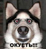  (94x100, 4Kb)