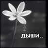  (98x98, 20Kb)