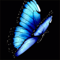  (120x120, 11Kb)