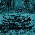  (120x120, 197Kb)