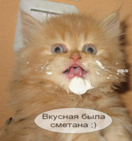  (187x200, 14Kb)