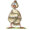  (100x101, 4Kb)