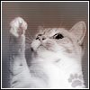  (100x100, 12Kb)