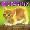  (100x100, 17Kb)
