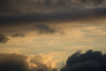 _MG_4236 (150x100, 17Kb)