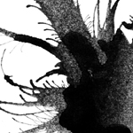  (150x150, 39Kb)