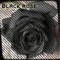  (120x120, 12Kb)