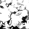  (100x100, 25Kb)