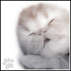  (100x100, 10Kb)