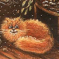  (120x120, 20Kb)