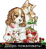  (150x162, 14Kb)