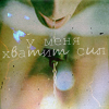  (100x100, 12Kb)