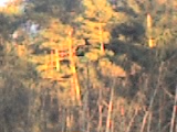  (160x120, 19Kb)