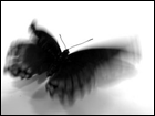 26094455_hvcxrsAZQ (140x105, 339Kb)