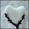 love59 (100x100, 31Kb)
