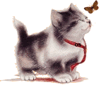  (140x120, 12Kb)