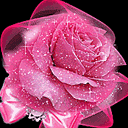 Rose (128x128, 27Kb)