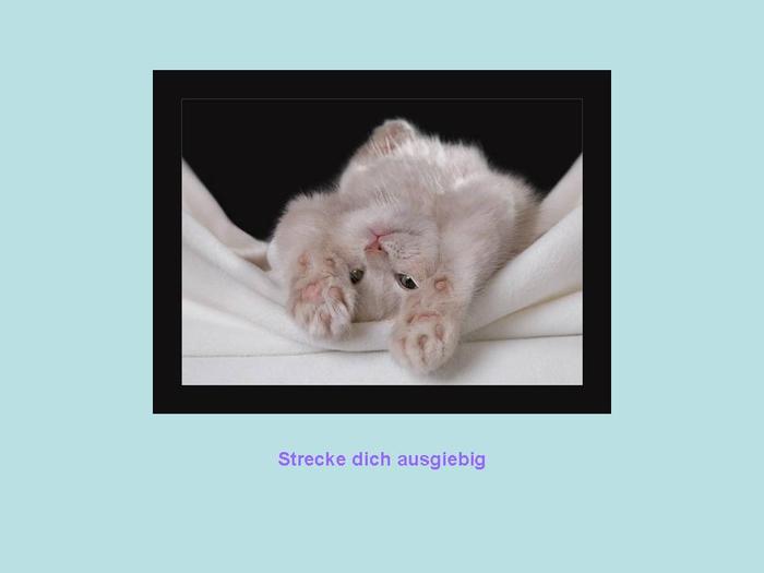 (700x525, 16Kb)