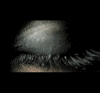  (100x93, 35Kb)