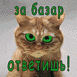  (77x77, 9Kb)