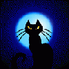  (100x100, 4Kb)