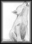  (108x150, 10Kb)