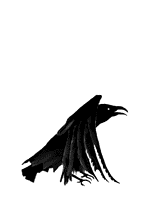 (150x200, 28Kb)