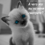  (150x150, 21Kb)