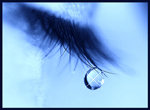  (150x110, 17Kb)