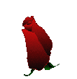 (110x114, 30Kb)