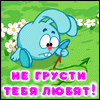  (100x100, 7Kb)