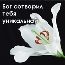  (128x128, 13Kb)